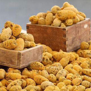 Come riconoscere un buon integratore dimagrante: ingredienti e proprietà