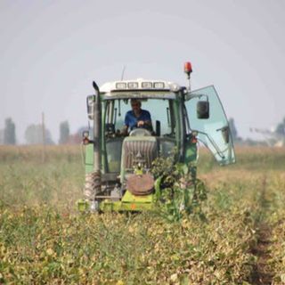 Nuove Tecnologie in Agricoltura: opportunità e innovazione