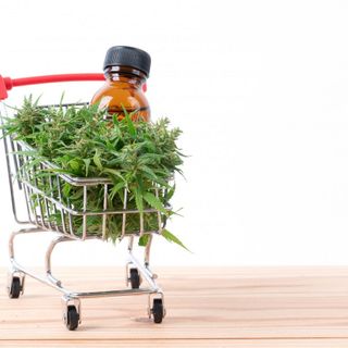 Scopri i vantaggi dell'acquisto di CBD online