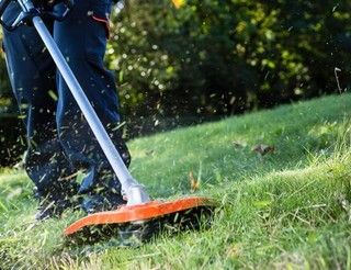 I 3 decespugliatori a scoppio con miglior rapporto qualità prezzo nel 2022