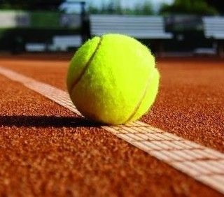 Sinner alle Finals di Torino 2023: il percorso del tennista quest'anno