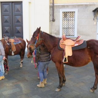 Festa solenne di Sant’Antonio Abate a Settimo Torinese