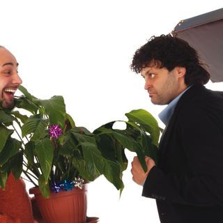 Al Teatrino Civico di Chivasso arriva lo spettacolo Andy&amp;Norman di Neil Simon