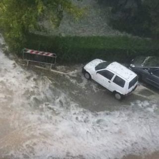 Danni in Canavese a causa della pioggia: ad Agliè un albero finisce sulla scuola
