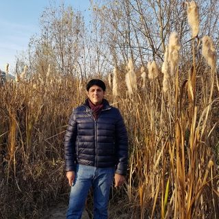 Brandizzo, alberi ostruiscono lo scolmatore del torrente Bendola