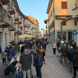 Alcuni momenti della manifestazuibe