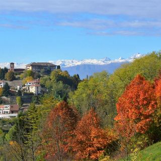 Castiglione - San Mauro: nasce &quot;Boschi dei Bric&quot; per la valorizzazione del patrimonio boschivo