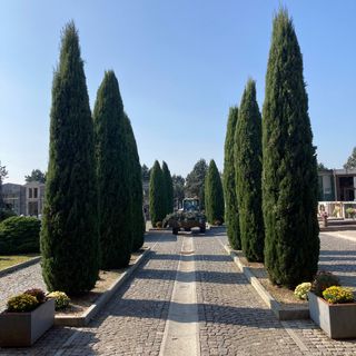 Il cimitero di Chivasso