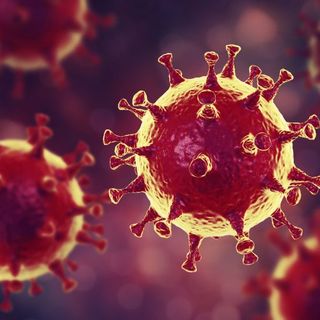 Covid: in calo l'onda dei nuovi contagi (+2.606, su 16.131 tamponi effettuati) in Piemonte. Poco più di 80 i neo ricoverati