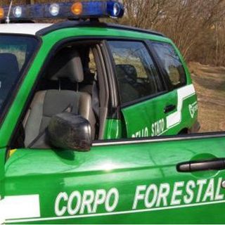 Chivasso perde i carabinieri della forestale