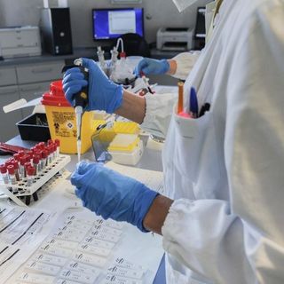 Covid, in isolamento domiciliare quasi 70mila piemontesi. I ricoverati sono 6 più di ieri