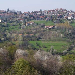 Il covid-19 non si ferma: il virus colpisce anche Castagneto Po