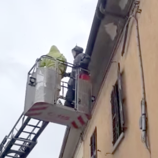 Uno sciame d'api su un cornicione in via Roma: messe in salvo da Anna Paola, apicoltrice chivassese
