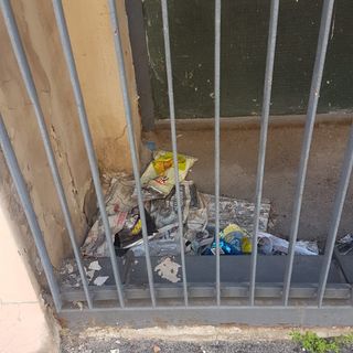 Tra deiezioni canine e rifiuti, via Ceresole affoga nel degrado. Petrarulo: “Quando la pulizia?”