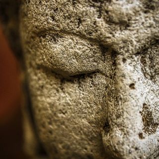 The Biggest Bluff: la scienza delle decisioni e le strategie per il successo