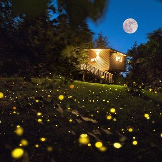 Agriturismo Parco del Grep: dormire tra gli alberi a pochi minuti da Torino