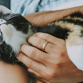 I consigli essenziali per prendersi cura del tuo amico a quattro zampe