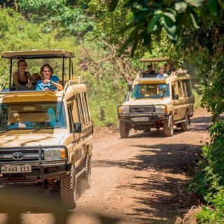 Alla scoperta della Tanzania: guida completa per un safari emozionante