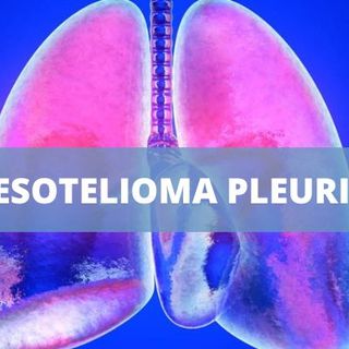 Amianto nelle scuole: la Corte d’Appello di Trieste condanna il Ministero dell’Istruzione e del merito per una vittima di mesotelioma