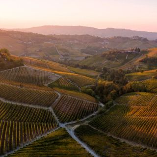 Nuovi vertici per Visit Piemonte. La presidenza resta in provincia di Cuneo (in foto uno scorcio delle Langhe dalle pagine dello stesso portale di promozione turistica)
