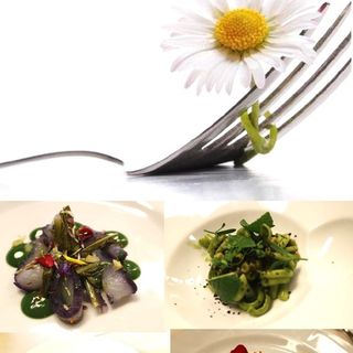 Le ricette vincitrici del concorso &quot;Un fiore nel piatto&quot;. Un menù sorprendente, dove i fiori sono protagonisti di un viaggio sensoriale raffinato e autentico