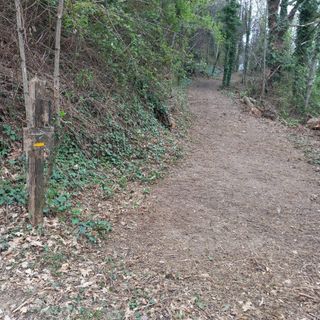 La pista ripulita La pista ripulita