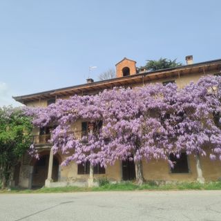 La casa del glicine, dove ha vissuto Alba de Céspedes