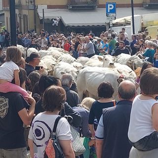 (Foto di repertorio)