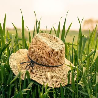 Alla fiera di Pinasca si mangia, si cammina e si corre, con gli amici a quattro zampe