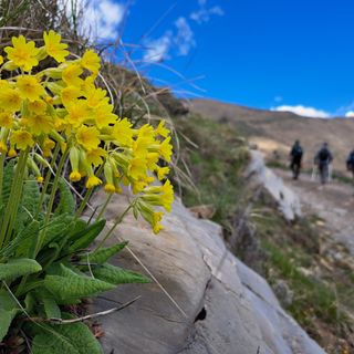 Al via il “Maggio dei Parchi della Liguria”: tutte le info
