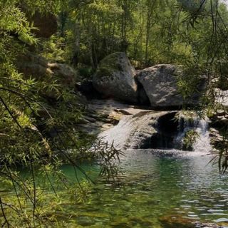 Scivola ai tumpi e finisce al Cto