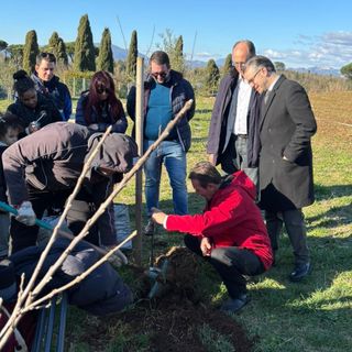 La piantumazione dei meli a Colleferro