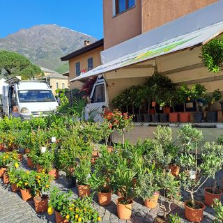Centro storico di Torre Pellice in festa con la rassegna ‘Fiori &amp; Sapori’