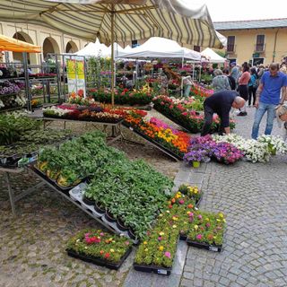 Alla scoperta di fiori e del centro storico per un fine settimana ai piedi della Rocca