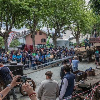 Trebbiatura d’epoca e visite guidate con allevatori e caseifici per LatteforMaggio