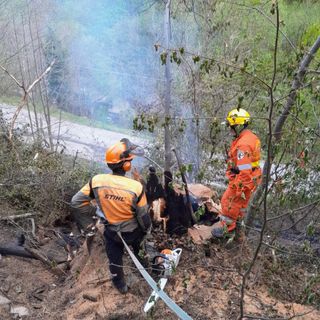L’intervento per il castagno in fiamme