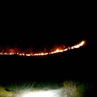Incendio boschivo nella zona di Pian Frollero tra Val Pellice e Valle Po