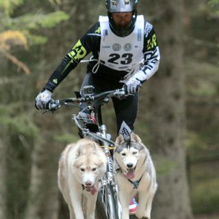 Un bibianese con i suoi Siberian Husky finisce in nazionale