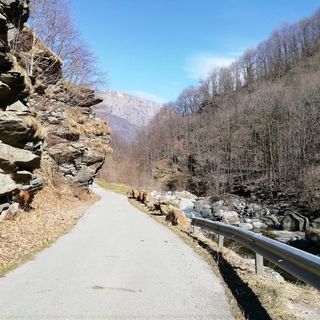 La strada della Comba Carbonieri