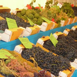 Pro loco e attività di Bricherasio al lavoro per riempire di gusto piazza Castelvecchio