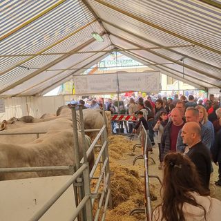 (Foto di repertorio)