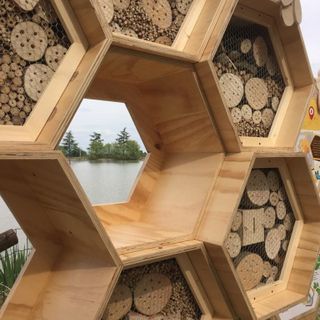 Il bee hotel Cumiana Zoom