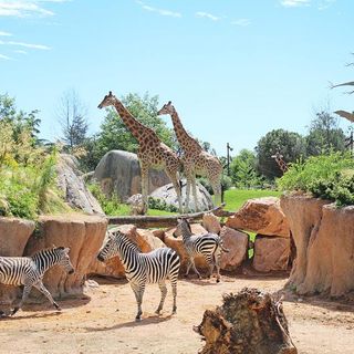 Zoom di Cumiana lancia ‘Grrreen’, il festival della biodiversità