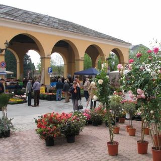 (Foto di repertorio)