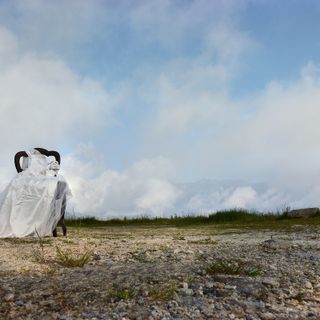 (Foto di Monica Zingarelli)