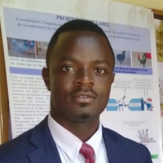Francis Dongmo
