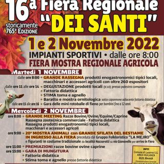 Circa 4 mila animali in sfilata e centinaia esposti per la Fiera dei Santi
