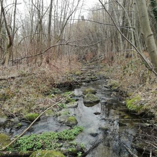 Luserna San Giovanni risorgiva Bocciardino