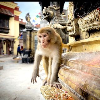 Uno degli scatti nepalesi di Christian Bosio
