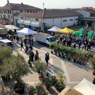 (Foto di repertorio)